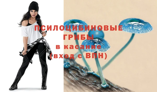 амф Россошь
