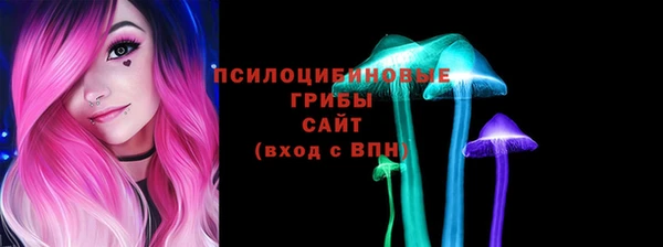 герыч Арсеньев
