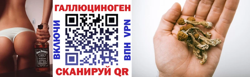 Галлюциногенные грибы Psilocybe  гидра ссылки  Мышкин 